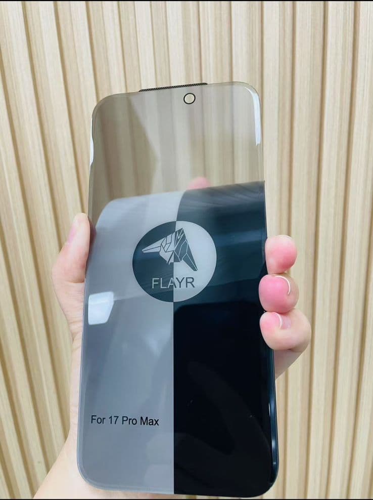 Borderless Flayr Privacy logo